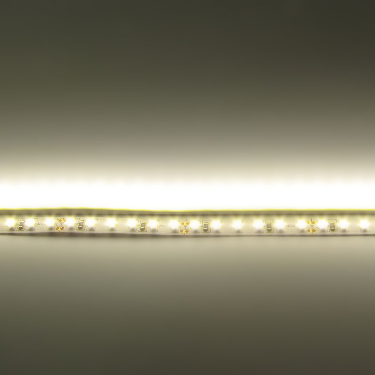 светодиодная лента standart pro class , 3528, 120 led/m, warm white, 24v, ip33, артикул 54279