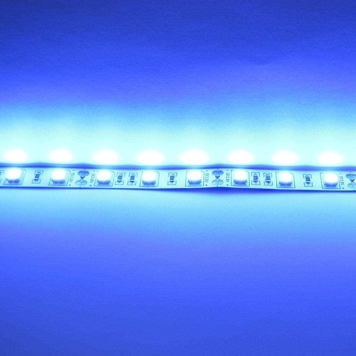 светодиодная лента standart class, 5050, 60led/m, blue, 12v, ip33, артикул 52719