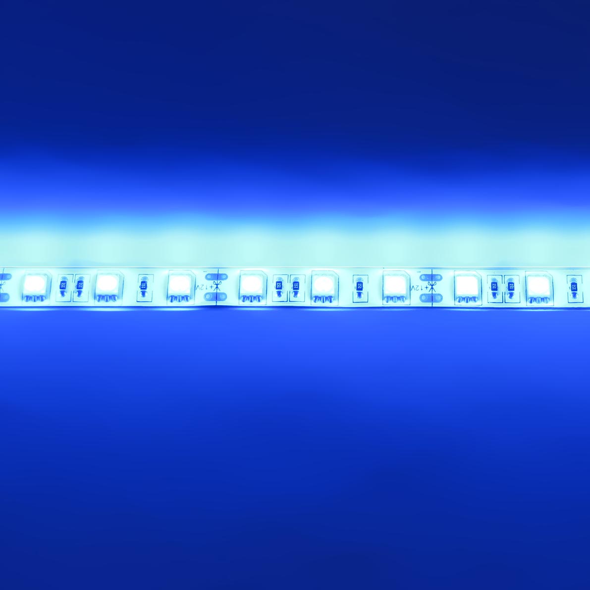 светодиодная лента standart class, 5050, 60led/m, blue, 12v, ip65, артикул 52720