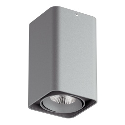 светильник точечный накладной декоративный под заменяемые галогенные или led лампы monocco lightstar 212539, артикул 212539