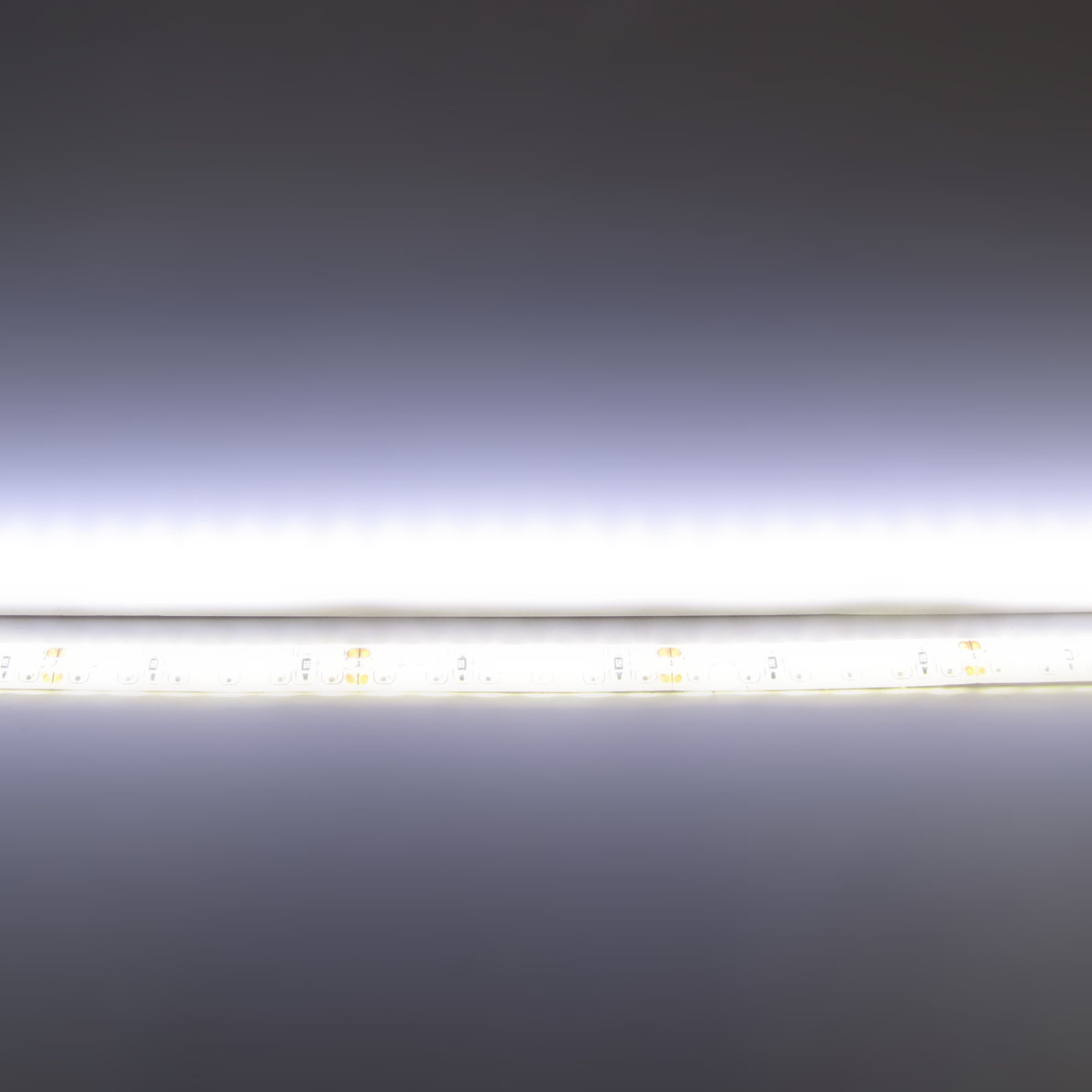 светодиодная лента standart pro class, 3528, 120 led/m, day white, 24v, ip65, артикул 54282