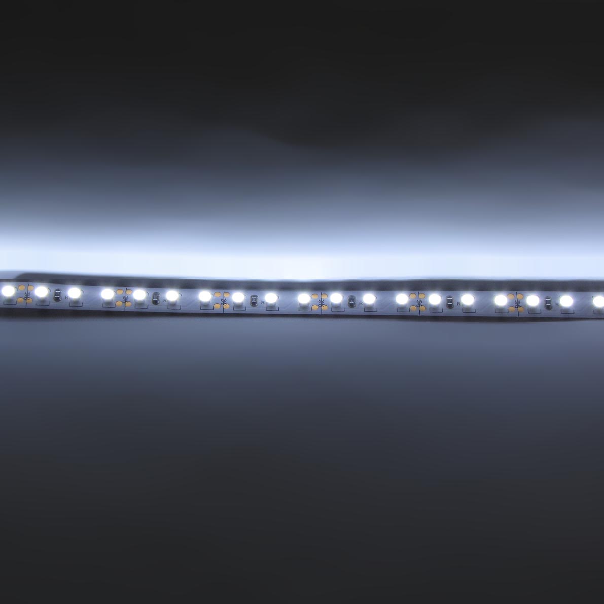 светодиодная лента standart class, 3528, 120led/m, white, 12v, ip33, g19, артикул 52685