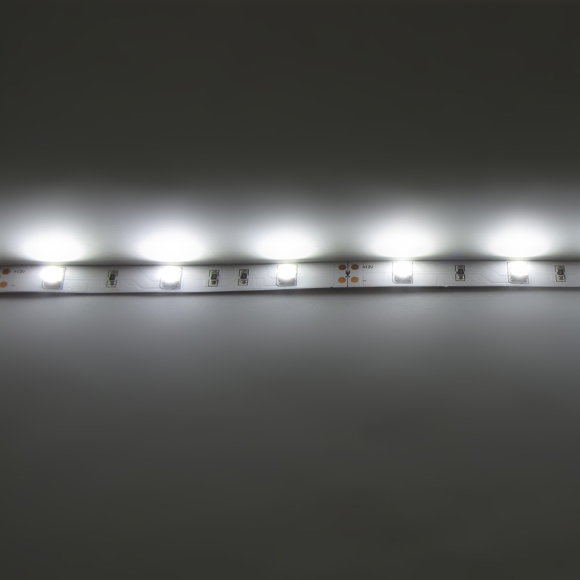 светодиодная лента standart pro class, 5050, 30 led/m, white, 12v, ip33, артикул 28133