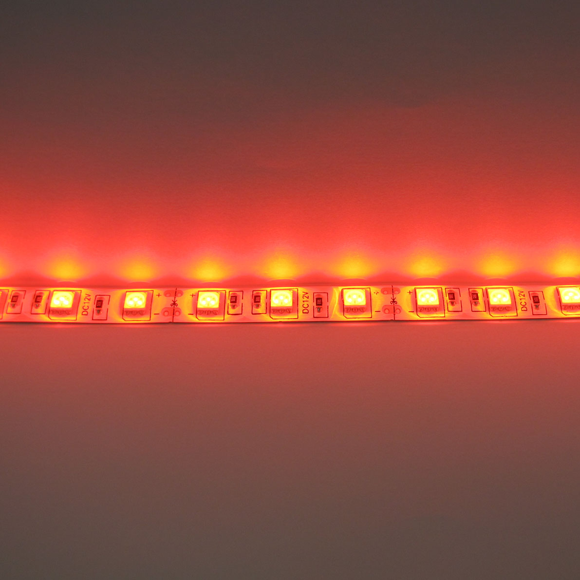светодиодная лента standart class, 5050, 60led/m, red, 12v, ip65, артикул 52724