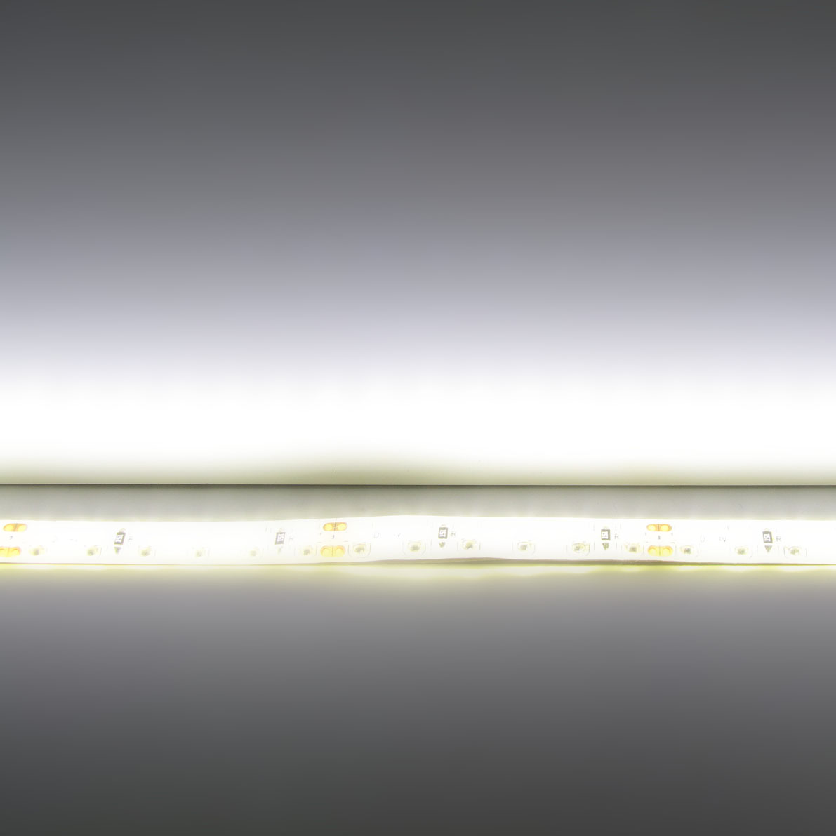 светодиодная лента standart pro class, 3528, 120 led/m, warm white, 24v, ip65, артикул 54280